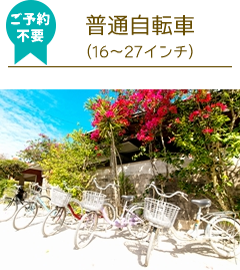 竹富島レンタサイクル普通自転車