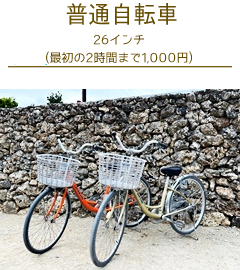 竹富島レンタサイクル普通自転車