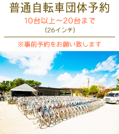 竹富島レンタサイクル普通自転車団体