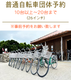 竹富島レンタサイクル普通自転車団体