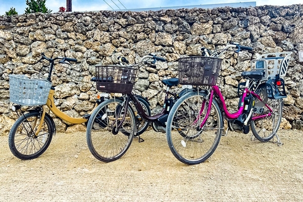 電動アシスト自転車