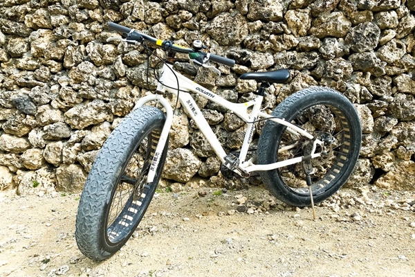 ファットバイク