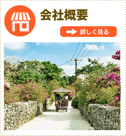 竹富島友利観光